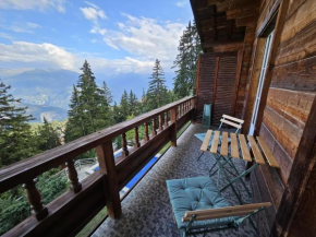 Vue 180 - Au pied des pistes - Typique et alpin Anzère